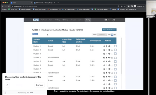 Remote user testing of the LDC scoring prototype