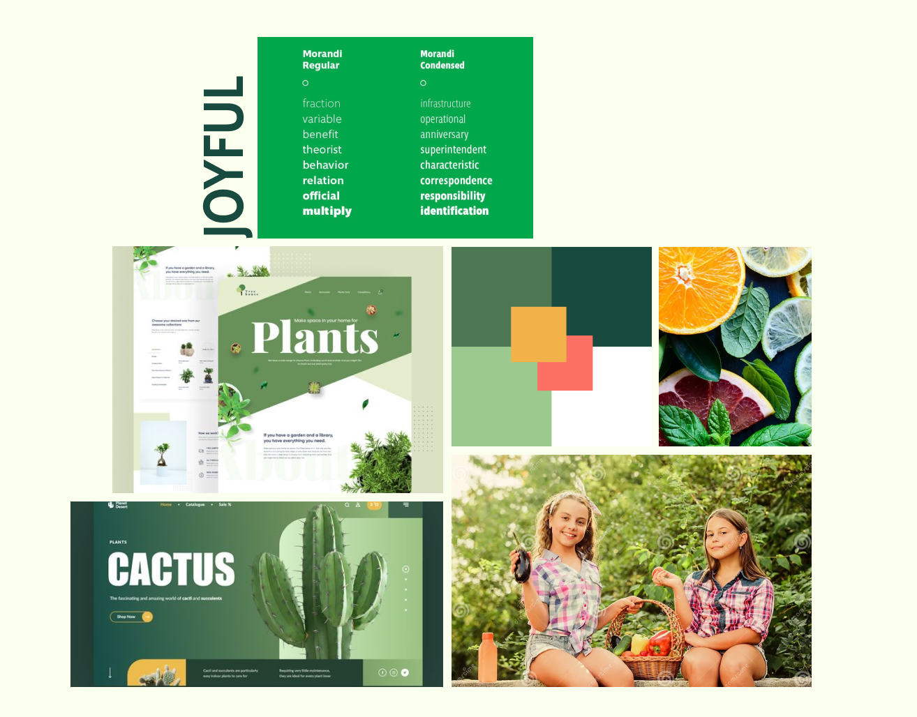 Joyful moodboard exploring a warmer green visual direction